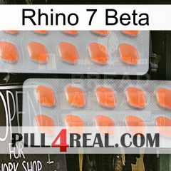 Rhino 7 Beta 27